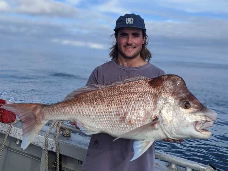 Platinum Plus Charters - Fishing Charters - Rock Lobster Tours, Jurien Bay, WA