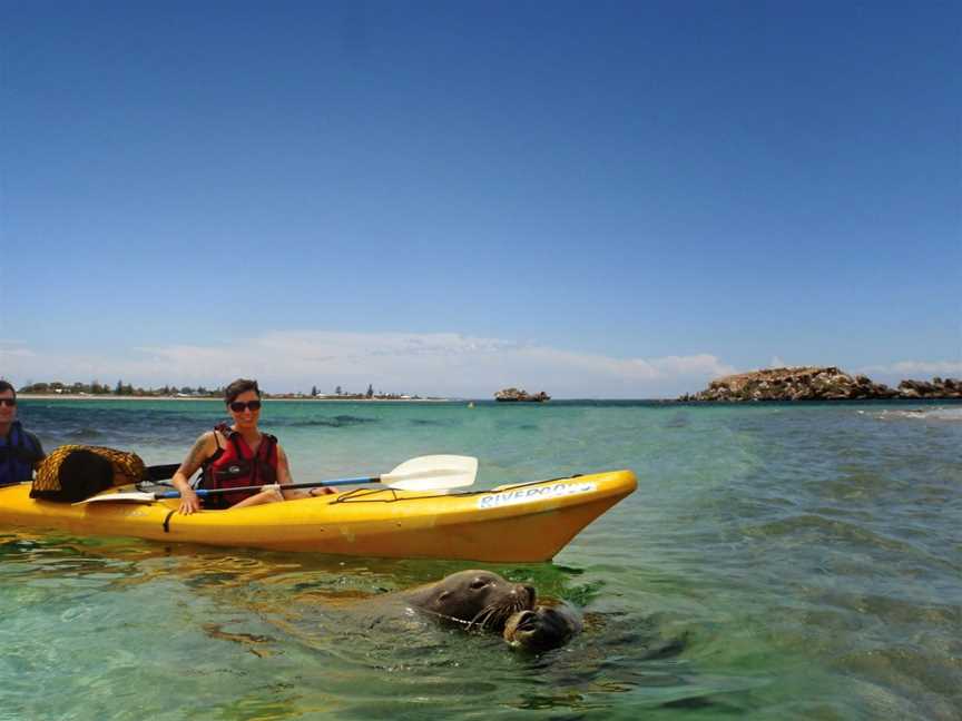 Rivergods Kayak Adventures, Willetton, WA