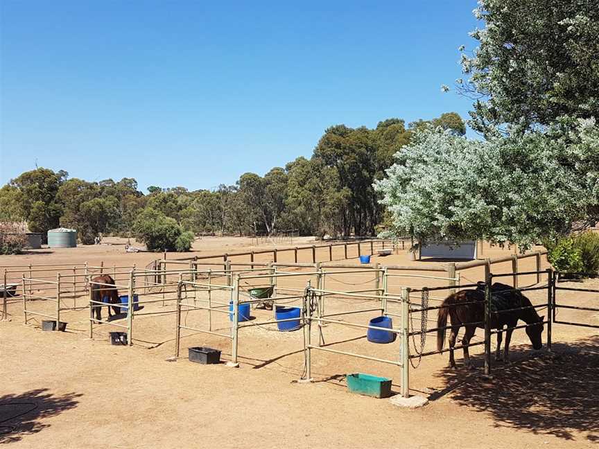 Forge Farm Riding School, Chidlow, WA