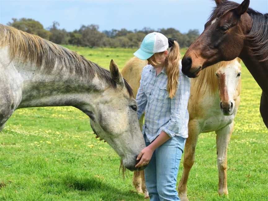 Horse Sense, Tutunup, WA