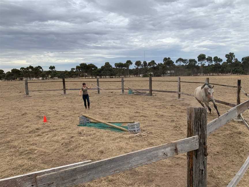 Dobbins Paddock, Broomehill, WA