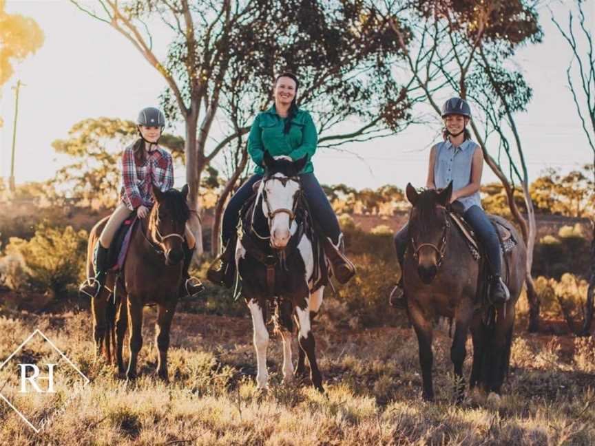 Horse Hub Kalgoorlie, Somerville, WA