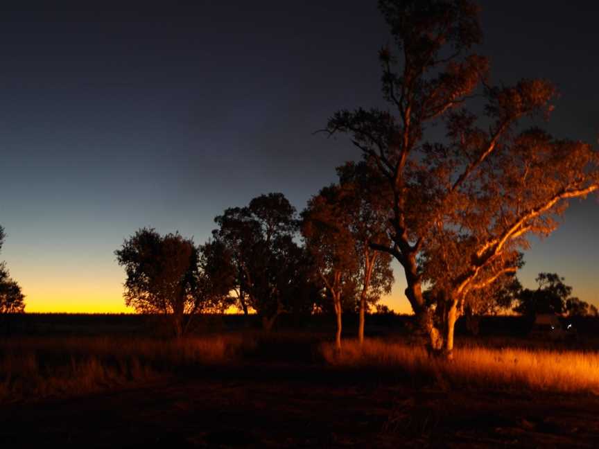 Otto Tours Australia, Gosnells, WA