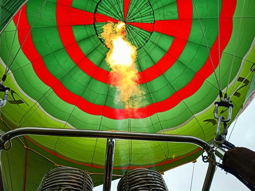 Sunshine Coast Ballooning, Cooroy, QLD