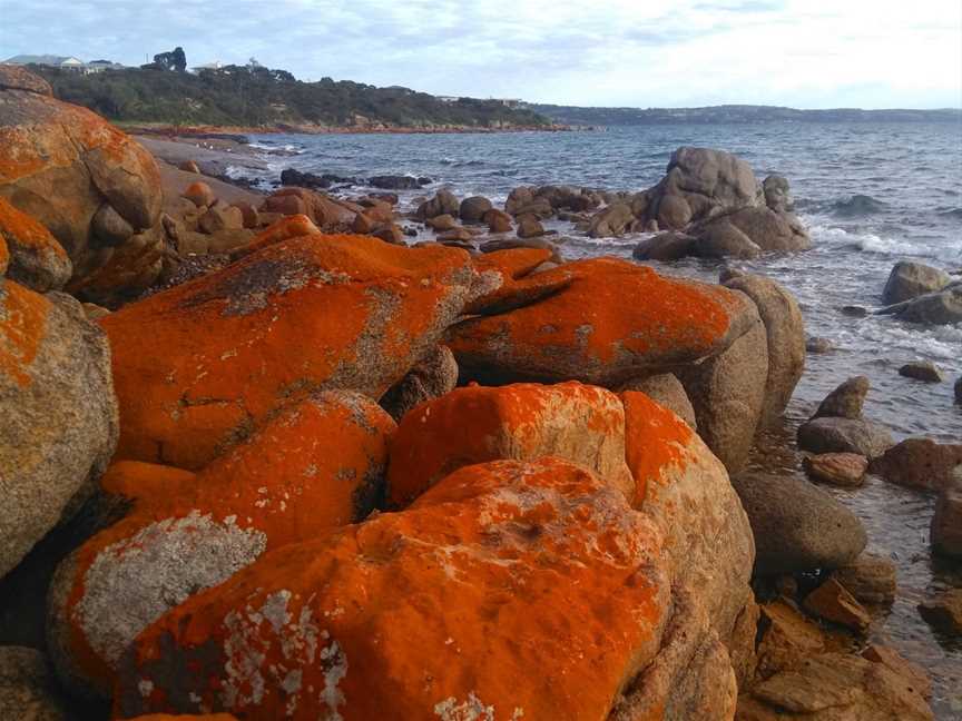 Kimberella Walking Tours, Coffin Bay, SA