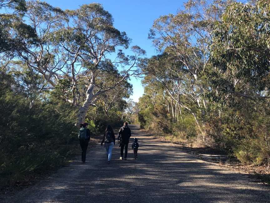 Guided Indigenous Walks in Dharawal National Park, Wedderburn, NSW