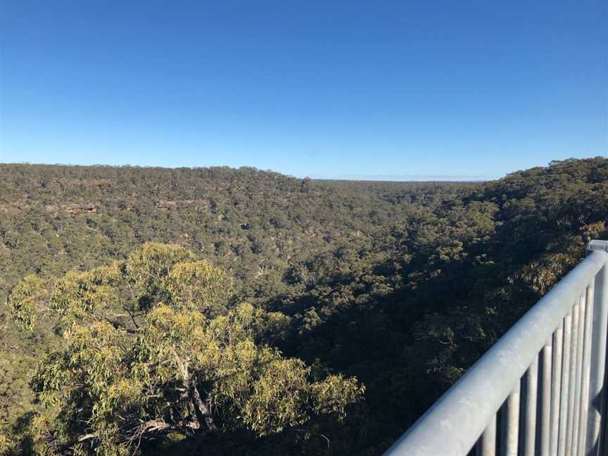 Guided Indigenous Walks in Dharawal National Park, Wedderburn, NSW