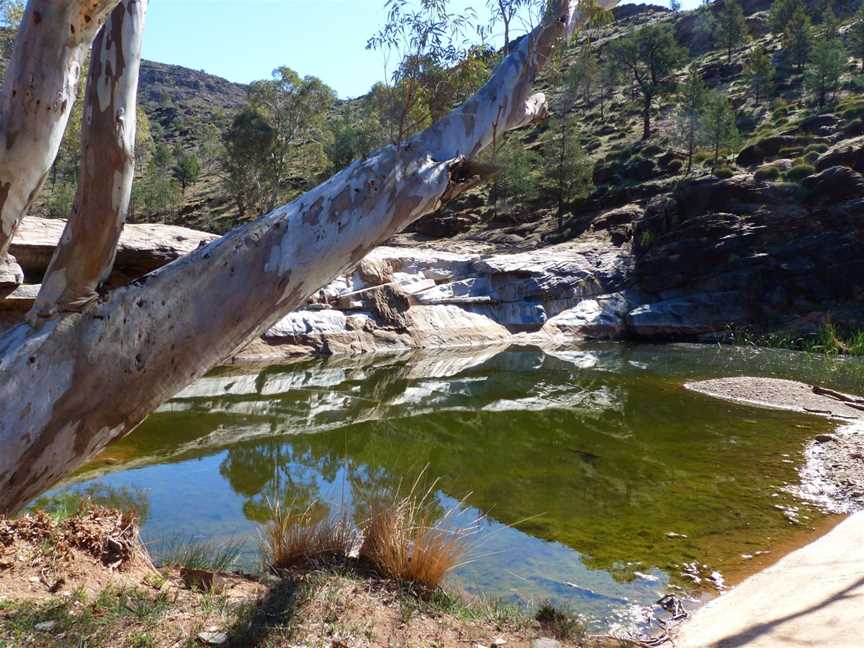 Alpana Station Blinman Pools Tour, Blinman, SA