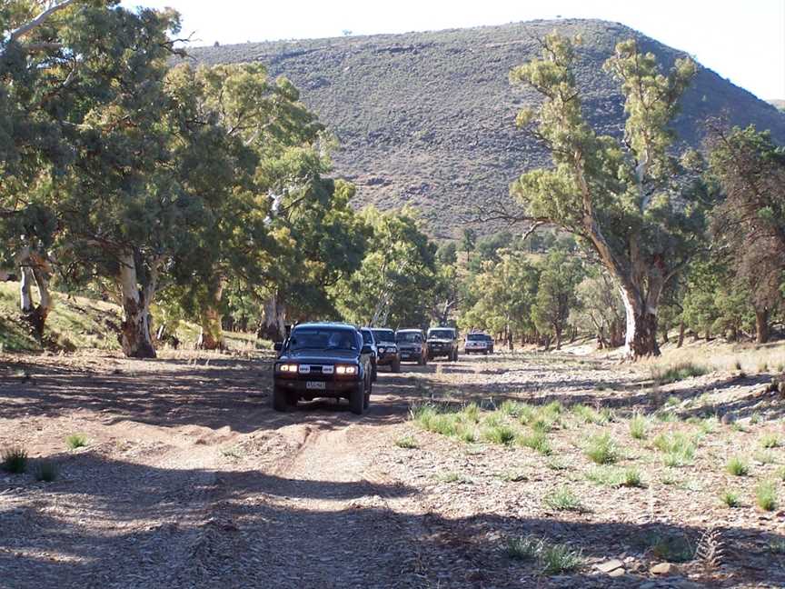 Alpana Station Blinman Pools Tour, Blinman, SA