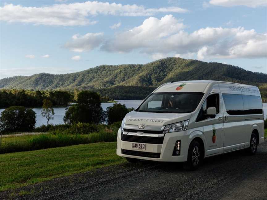 Pineapple Tours - Scenic Rim, Tamborine Mountain, QLD