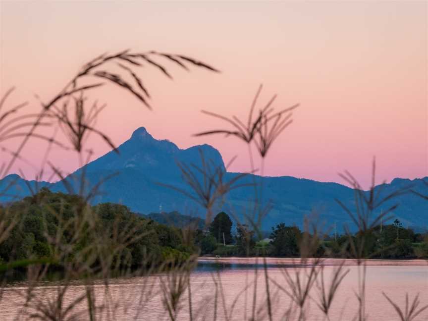 Tweed River Eco Tours, Tweed Heads, NSW