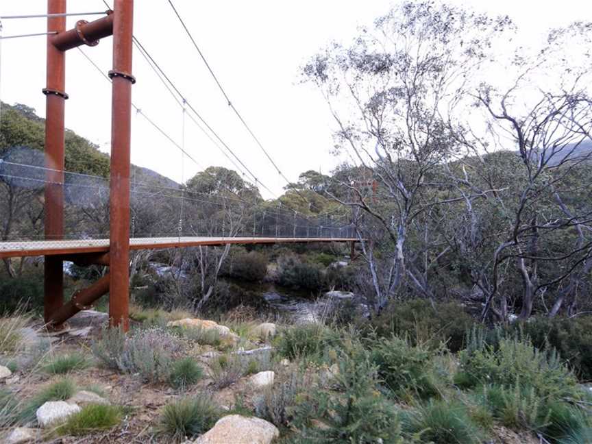 Guided Upper Thredbo Valley Track Tour, Crackenback, NSW