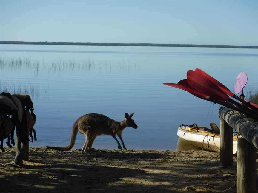 Kanu Kapers Sustainable Noosa Everglades, Boreen Point, QLD