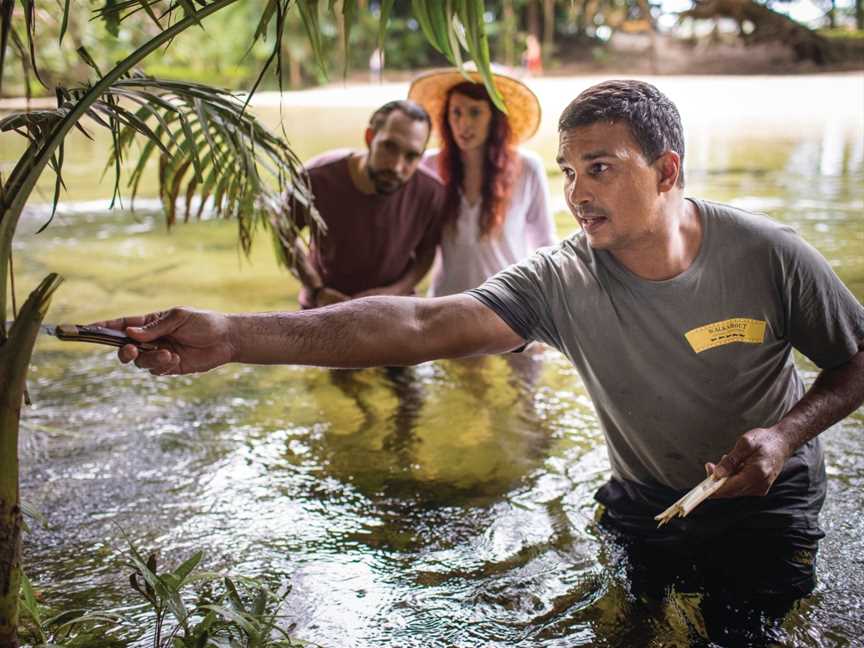 Ngana Julaymba Dungay: We All Going Daintree - Half Day - Walkabout Cultural Adventures, Port Douglas, QLD