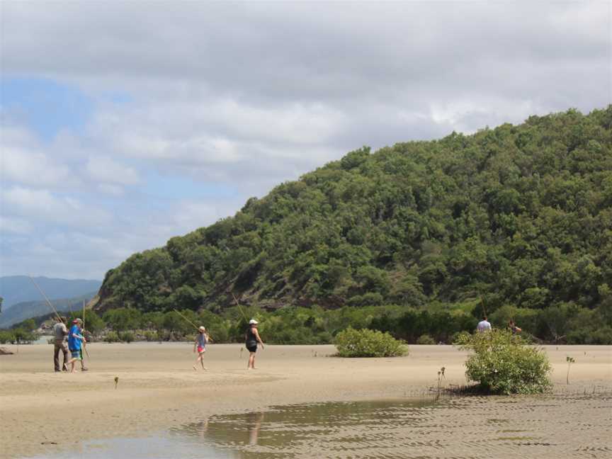 Ngana Julaymba Dungay: We All Going Daintree - Half Day - Walkabout Cultural Adventures, Port Douglas, QLD