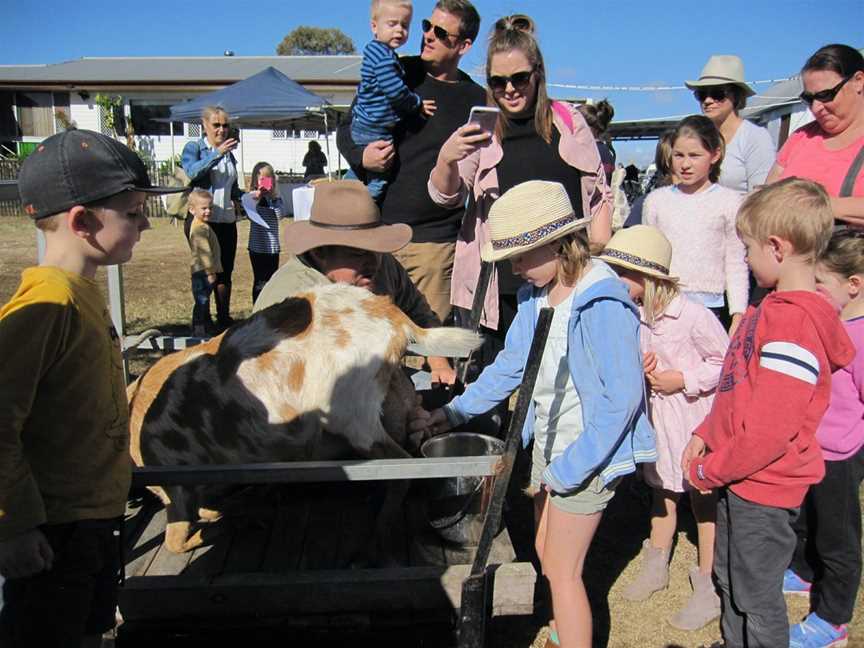 Naughty Little Kids Goat Dairy, Peak Crossing, QLD