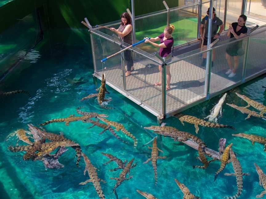 Crocosaurus Cove, Tours in Darwin