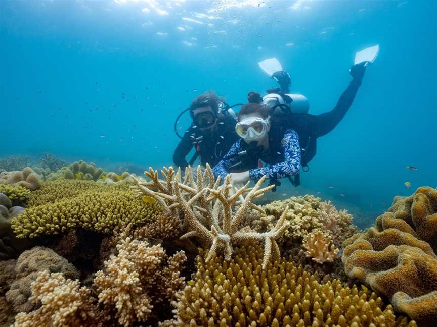 Refresher Diving Course on Fitzroy Island, Fitzroy Island, QLD