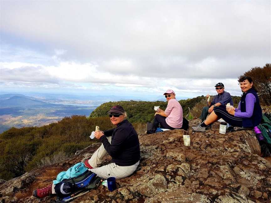 Scenic Rim Pack-Free Guided Walk - Life's an Adventure, Spring Hill, QLD