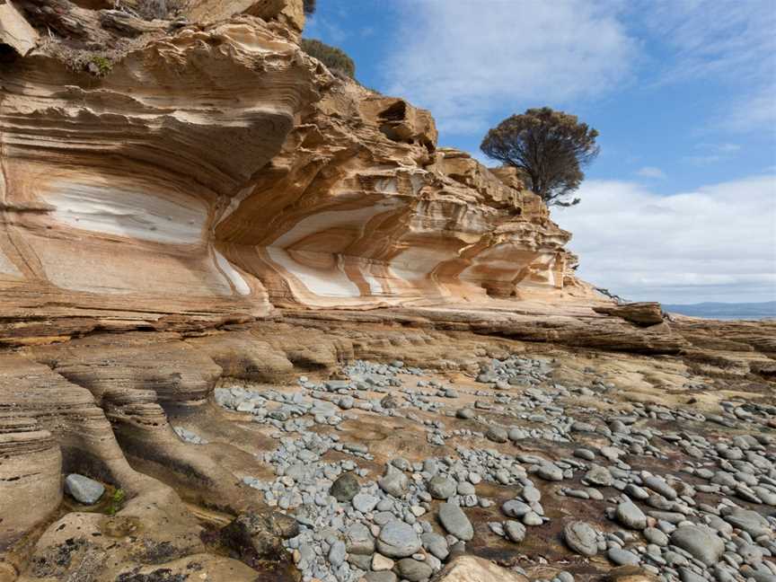 Private Photo-oriented Nature and Wildlife Tours from Hobart - Shutterbug Walkabouts Tasmania, Hobart, TAS