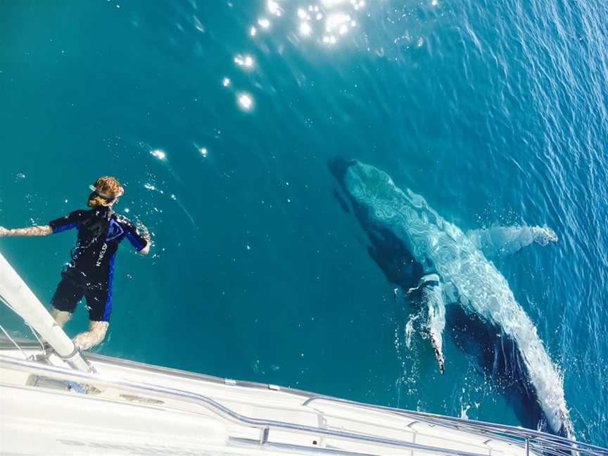 Remote Fraser Island and Whale Experience - Tasman Venture, Hervey Bay, QLD