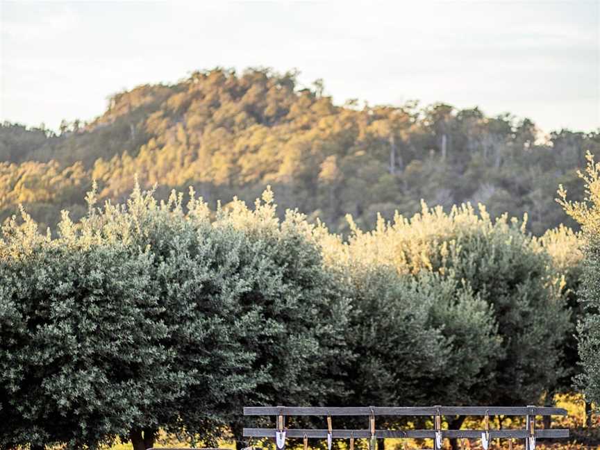 Tasmanian Truffles, Needles, TAS