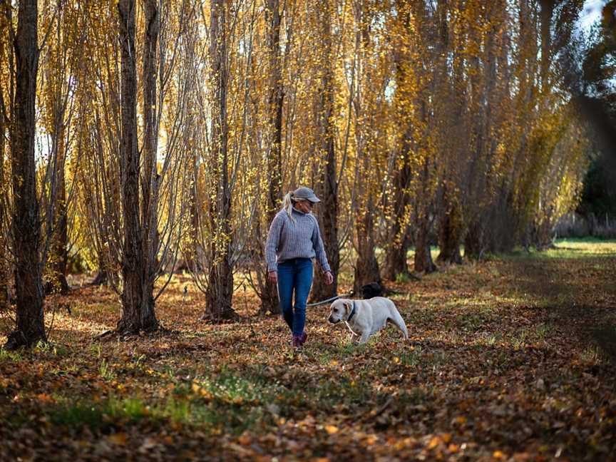 Tasmanian Truffles, Needles, TAS