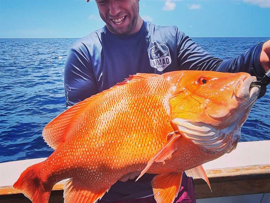 Coral Coast Charters Whitsundays, Cannonvale, QLD