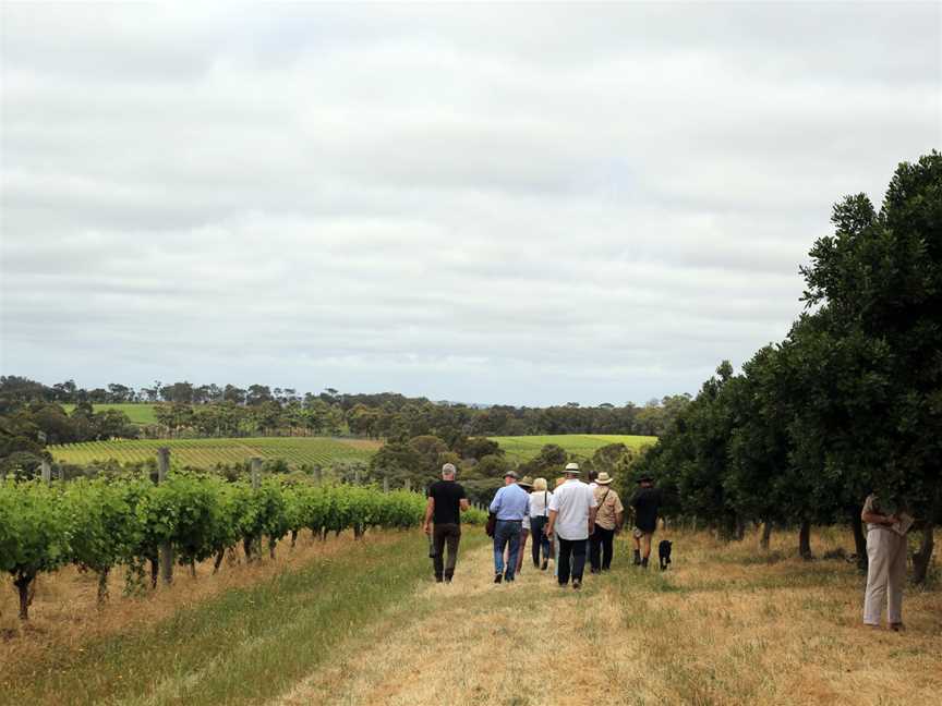 Hinterland Escapes Tours, Wellington Mill, WA