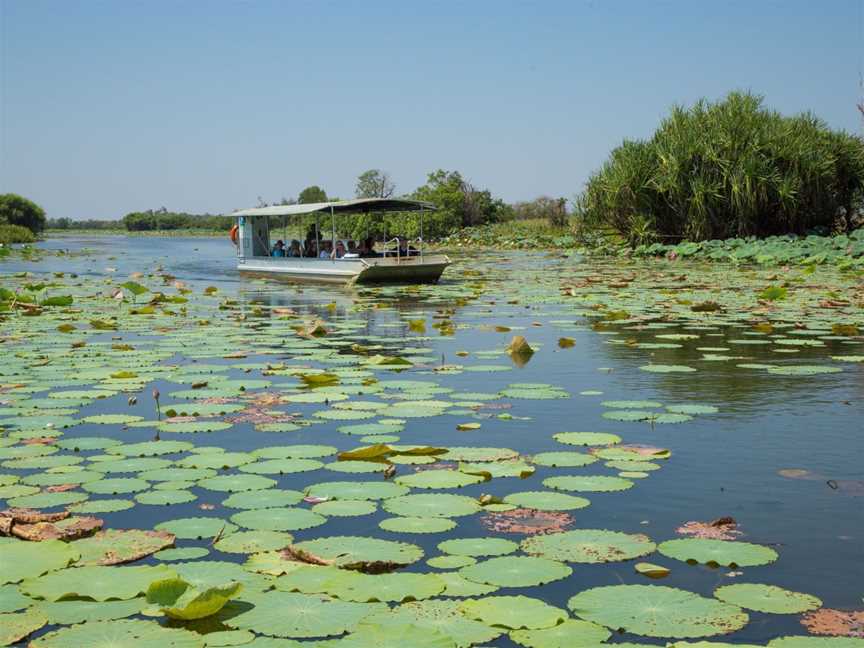 Wetland Cruises, Marrakai, NT