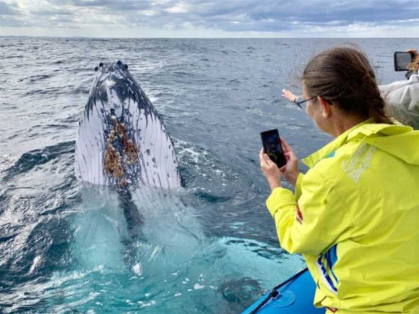 Aqua Adventures, Southport, QLD