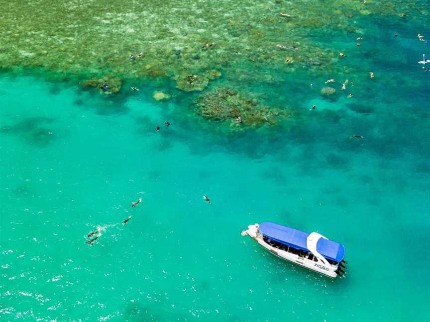 ZigZag Whitsundays - Airlie Beach Snorkelling And Whitehaven Beach Tour, Airlie Beach, QLD