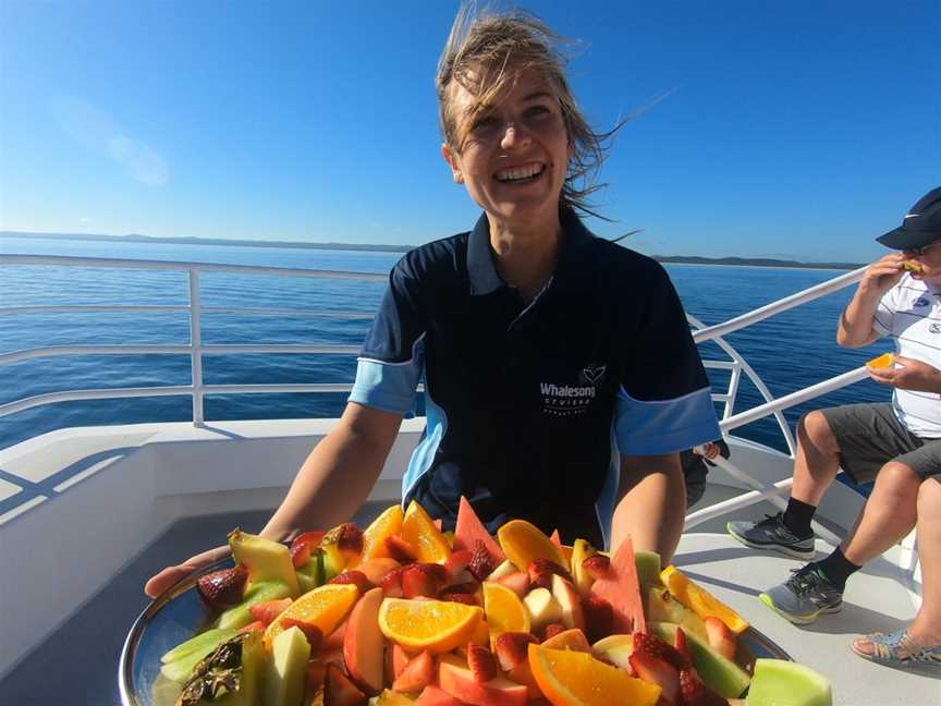 Whalesong Cruises - Whale Watching in Hervey Bay, Urangan, QLD