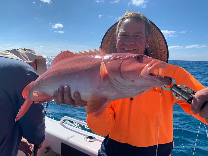 Great Barrier Reef Fishing and Island Tours, Flying Fish Point, QLD