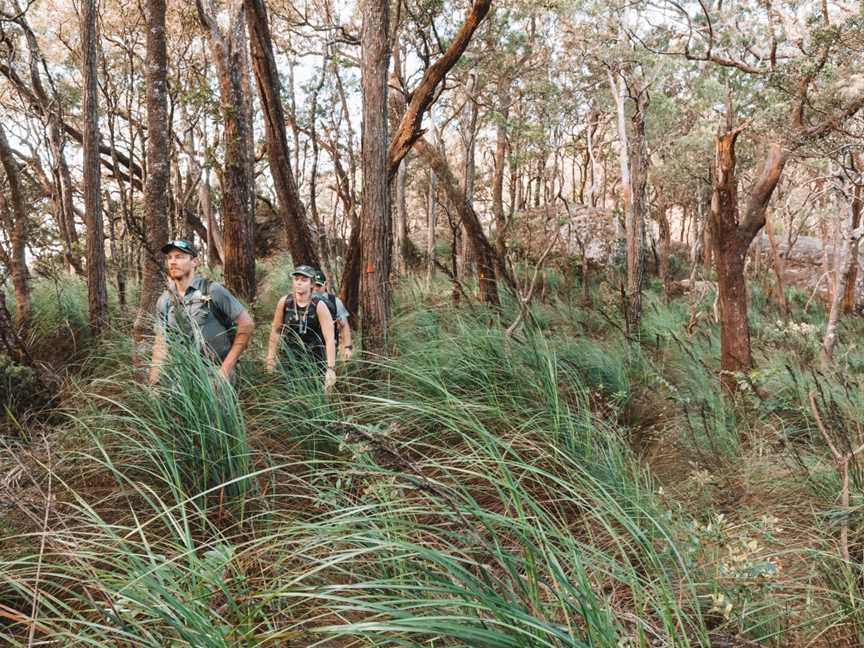 FNQ Nature Tours, Mount Sheridan, QLD