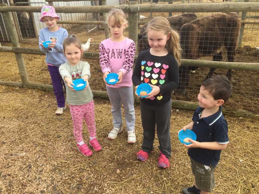 Tarnasey Farm Little Farmer Tours, Wallaroo, SA