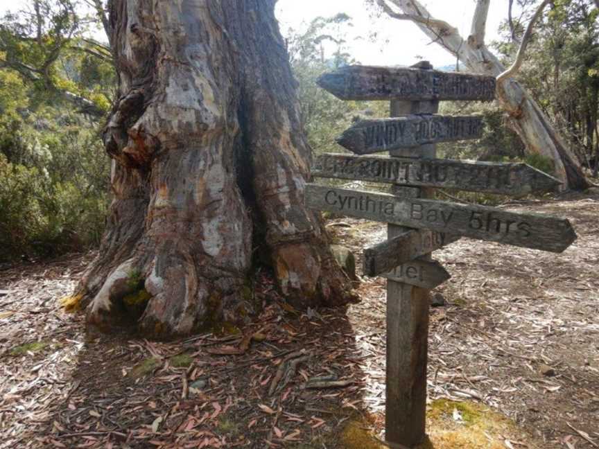 Wild Trek Tours - Tasmania, Hobart, TAS