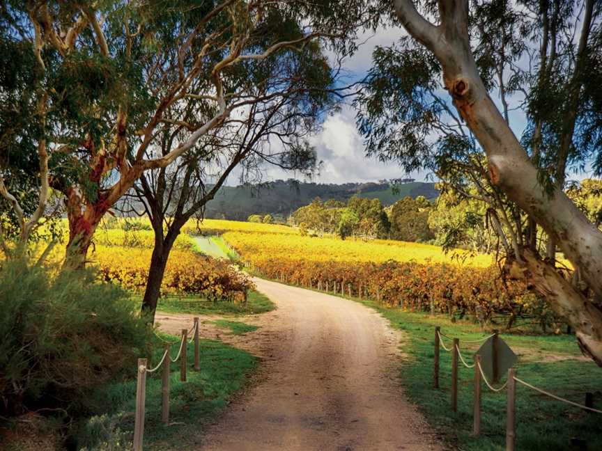 Adelaide's Top Food And Wine Tours - Fleurieu Peninsula, Seaford Rise, SA