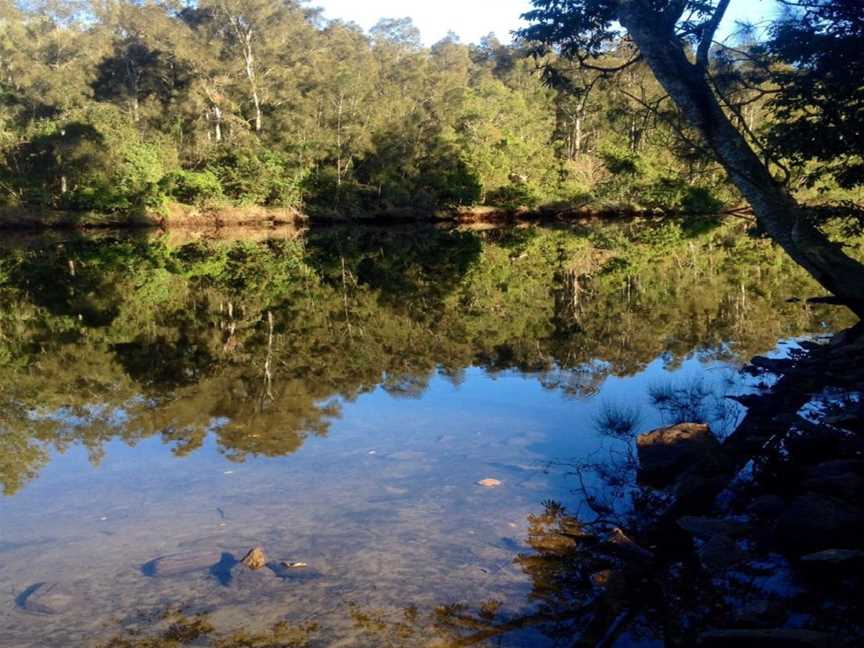 Unkya Local Aboriginal Land Council Cultural Eco Tours, Macksville, NSW