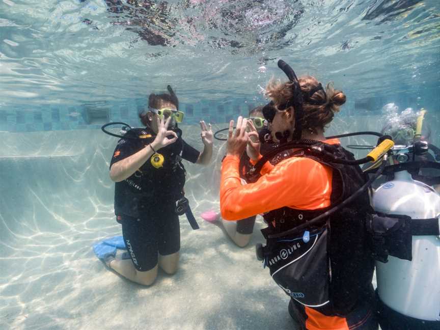 Byron Bay Dive Centre, Byron Bay, NSW