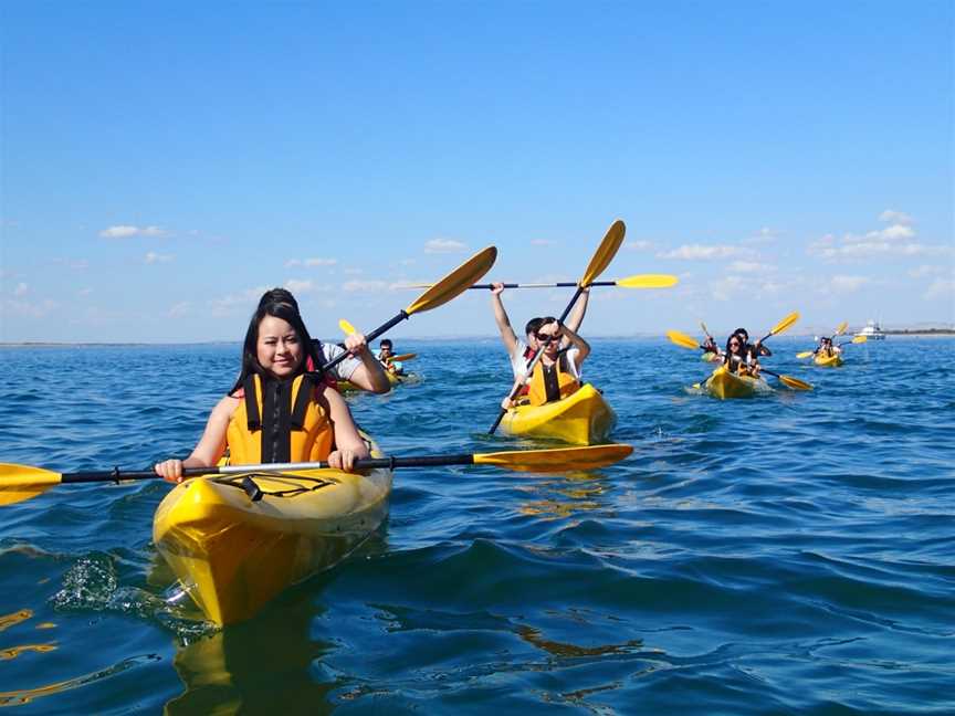 Pioneer Kayaking, Newhaven, VIC