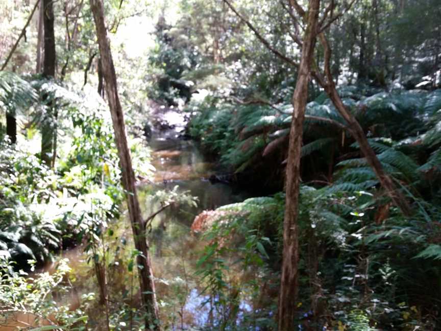 Gippsland Fly Fishing, Yarragon, VIC