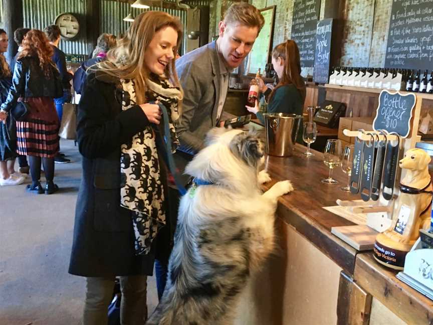 Pooches and Pinot Wine Tours, Healesville, VIC