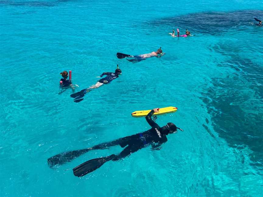 ABC Snorkel Charters, Port Douglas, QLD