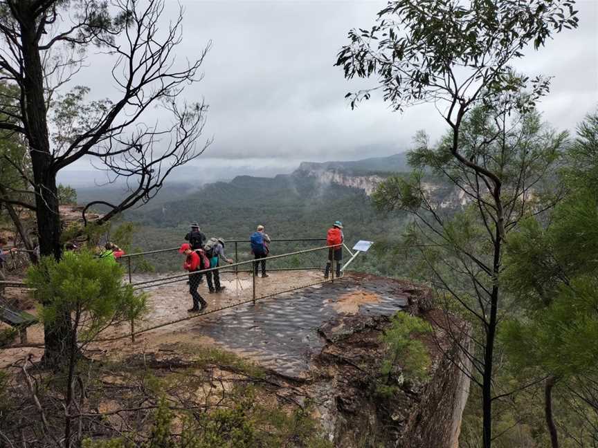 Central Queensland Nature Tours, Carnarvon Gorge, QLD