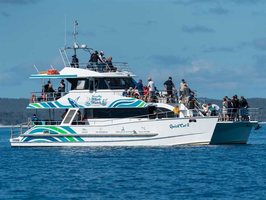 Hervey Bay Whale Watch Quick Cat II, Urangan, QLD