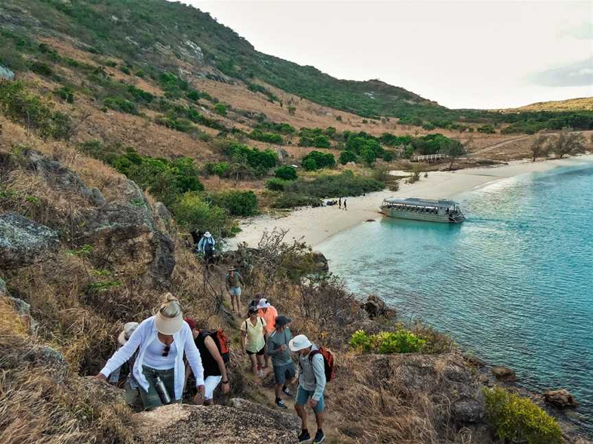 Coral Expeditions | Great Barrier Reef, Bungalow, QLD