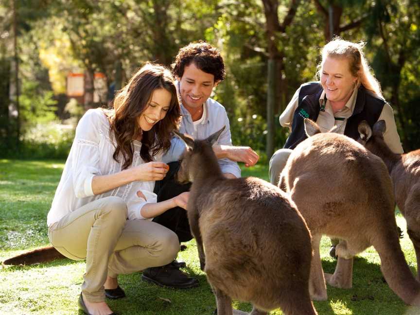 Vinetrekker Wine & Food Tours, South Melbourne, VIC