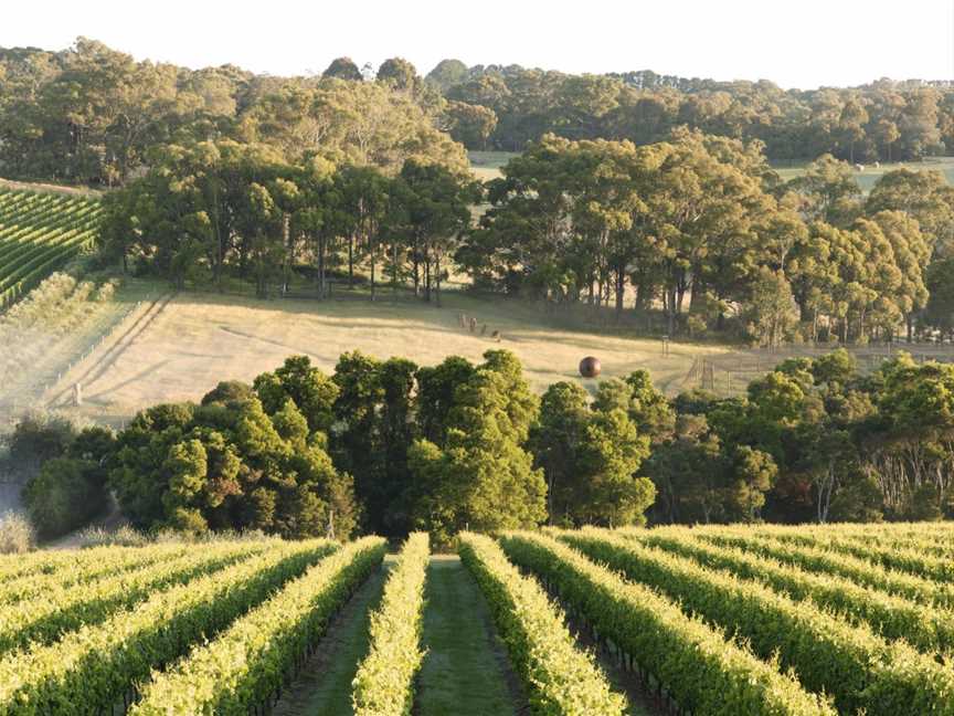 Vinetrekker Wine & Food Tours, South Melbourne, VIC