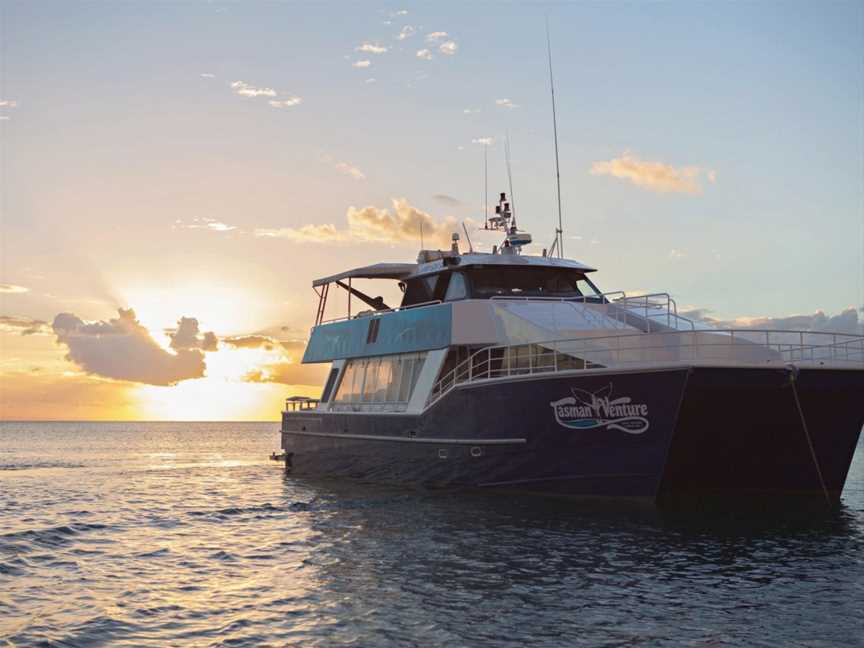 Island Escapes Private Charter - Tasman Venture, Hervey Bay, QLD